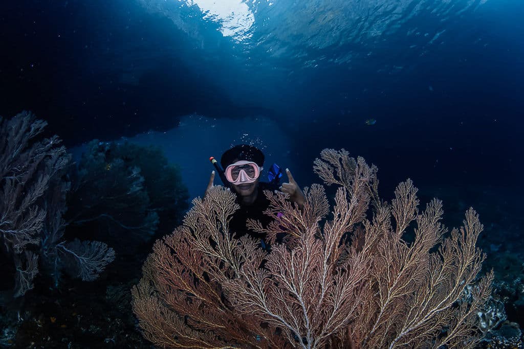 Diving from Amaya Explorer in remote waters